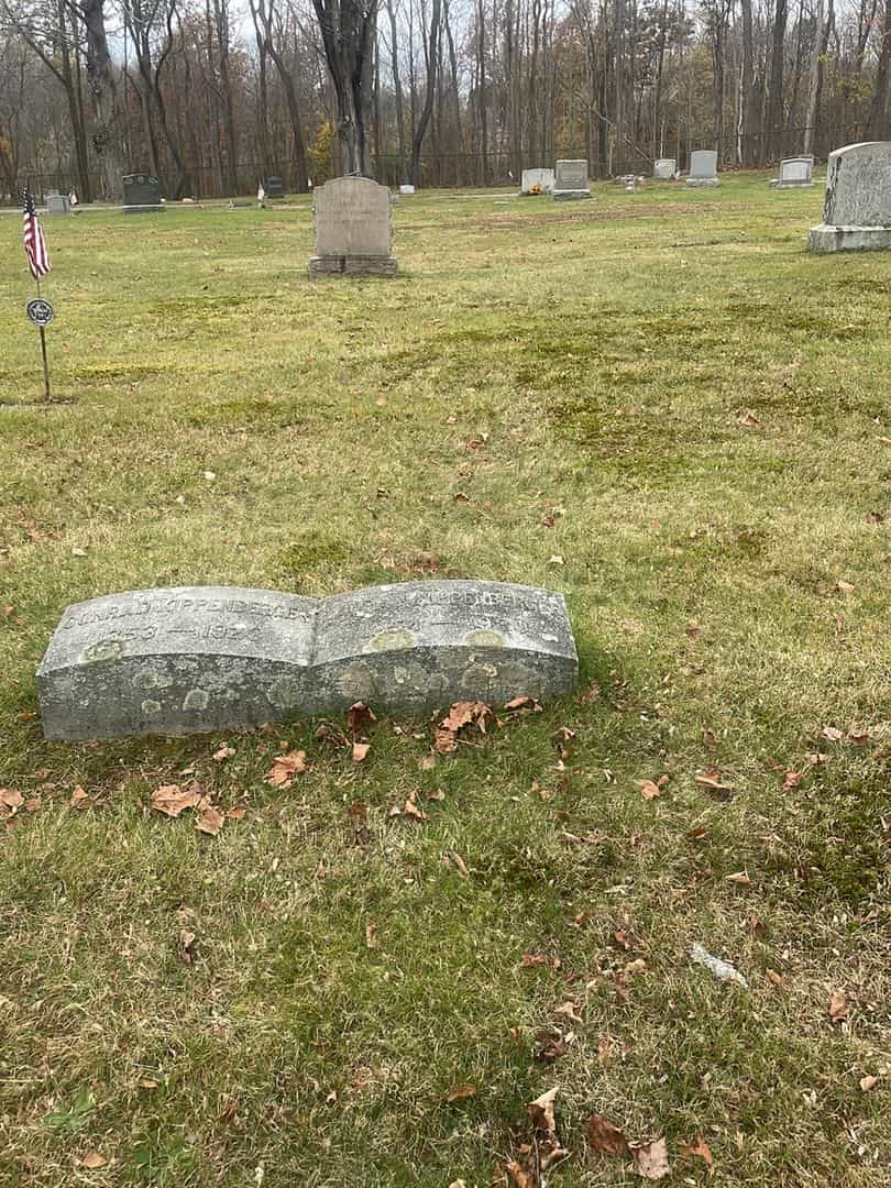 Laura N. Kippenberger's grave. Photo 2