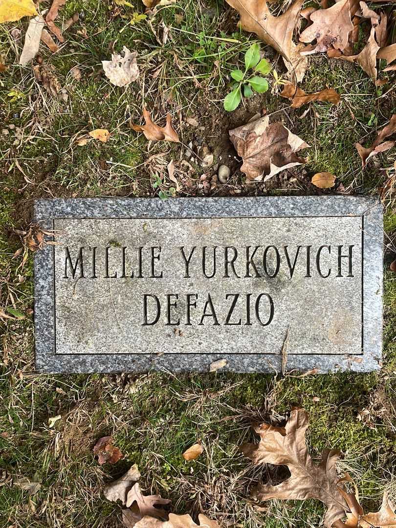 Yamilla "Millie" Yurkovich Defazio's grave. Photo 5