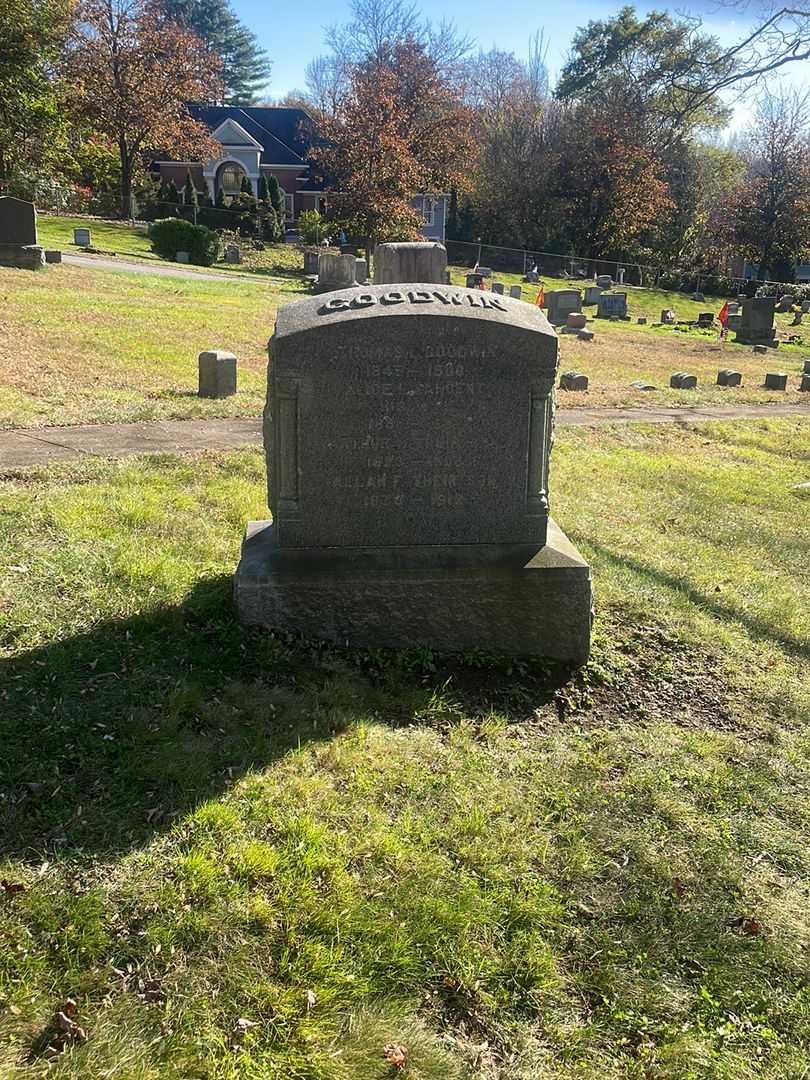 Dorothy T. Nebgen Goodwin's grave. Photo 2