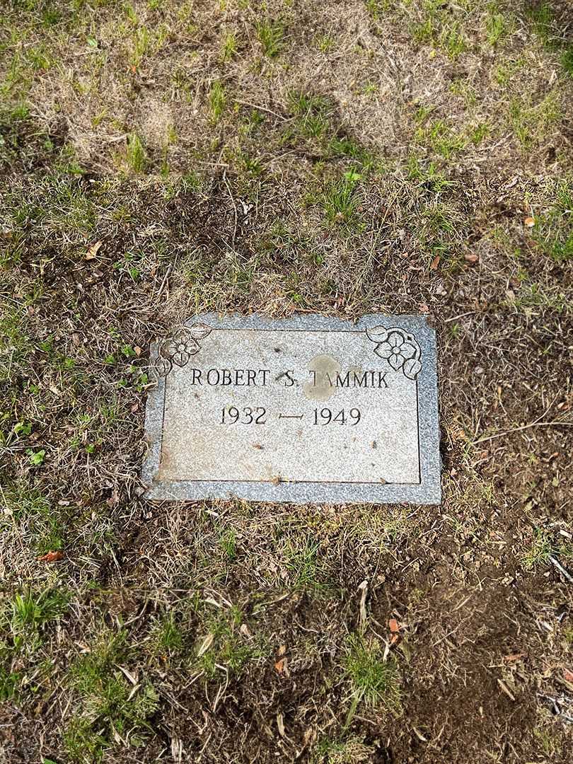 Robert S. Tammik's grave. Photo 3