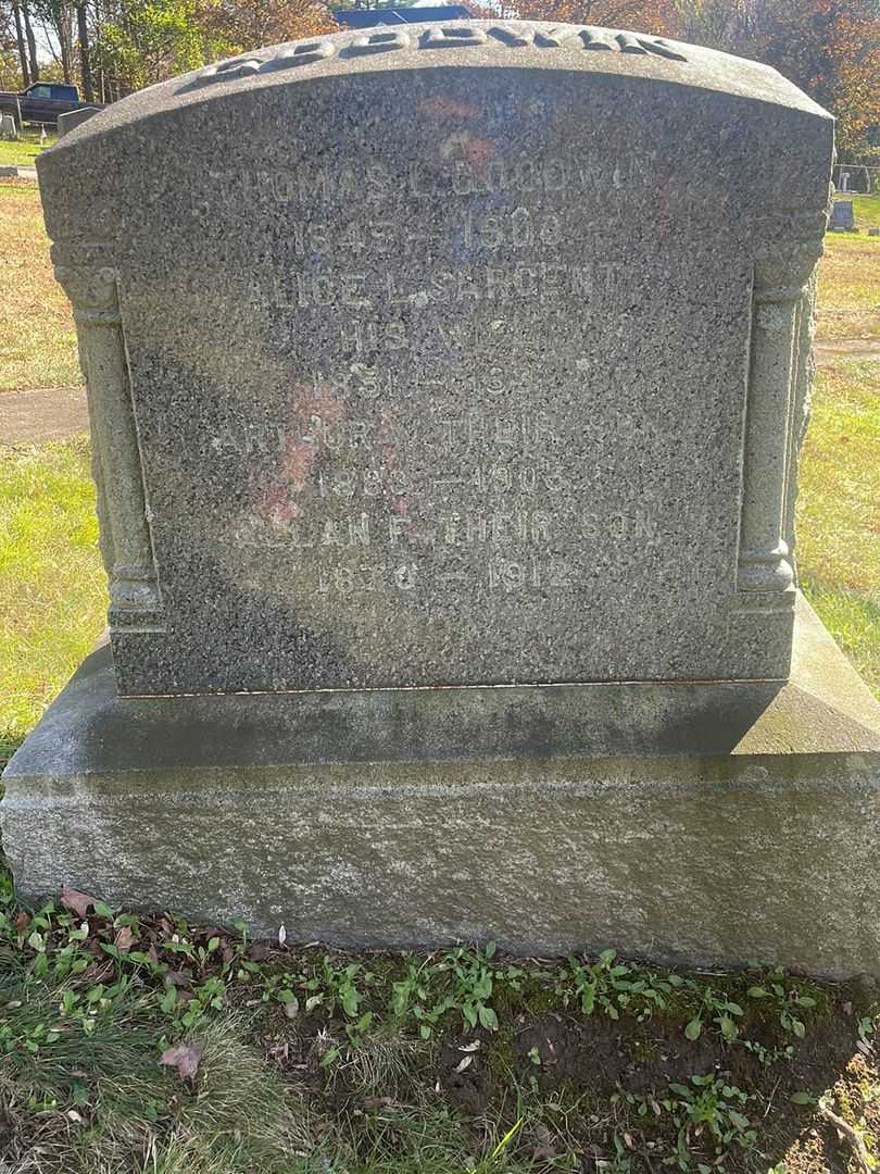 Dorothy T. Nebgen Goodwin's grave. Photo 1