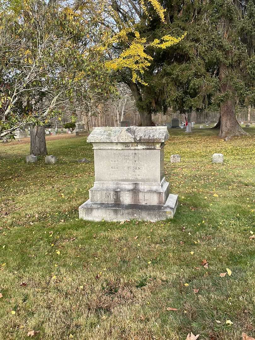 Henry L. Adams's grave. Photo 2