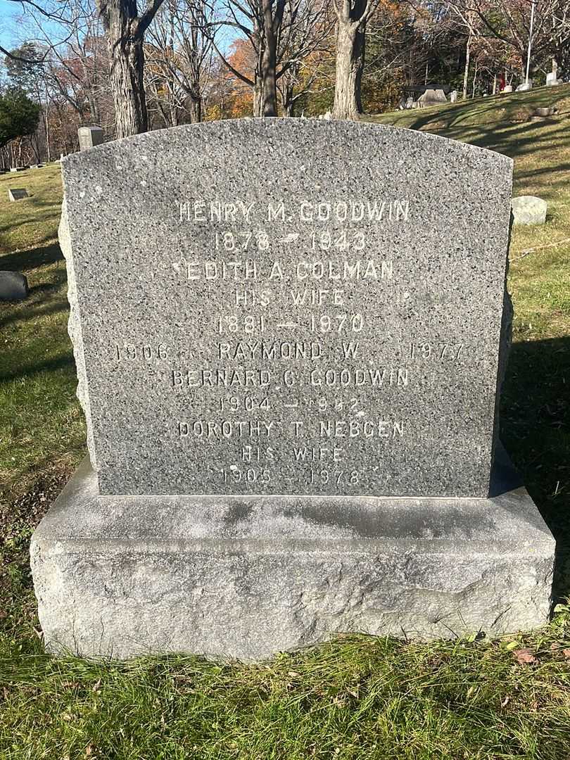 Dorothy T. Nebgen Goodwin's grave. Photo 3