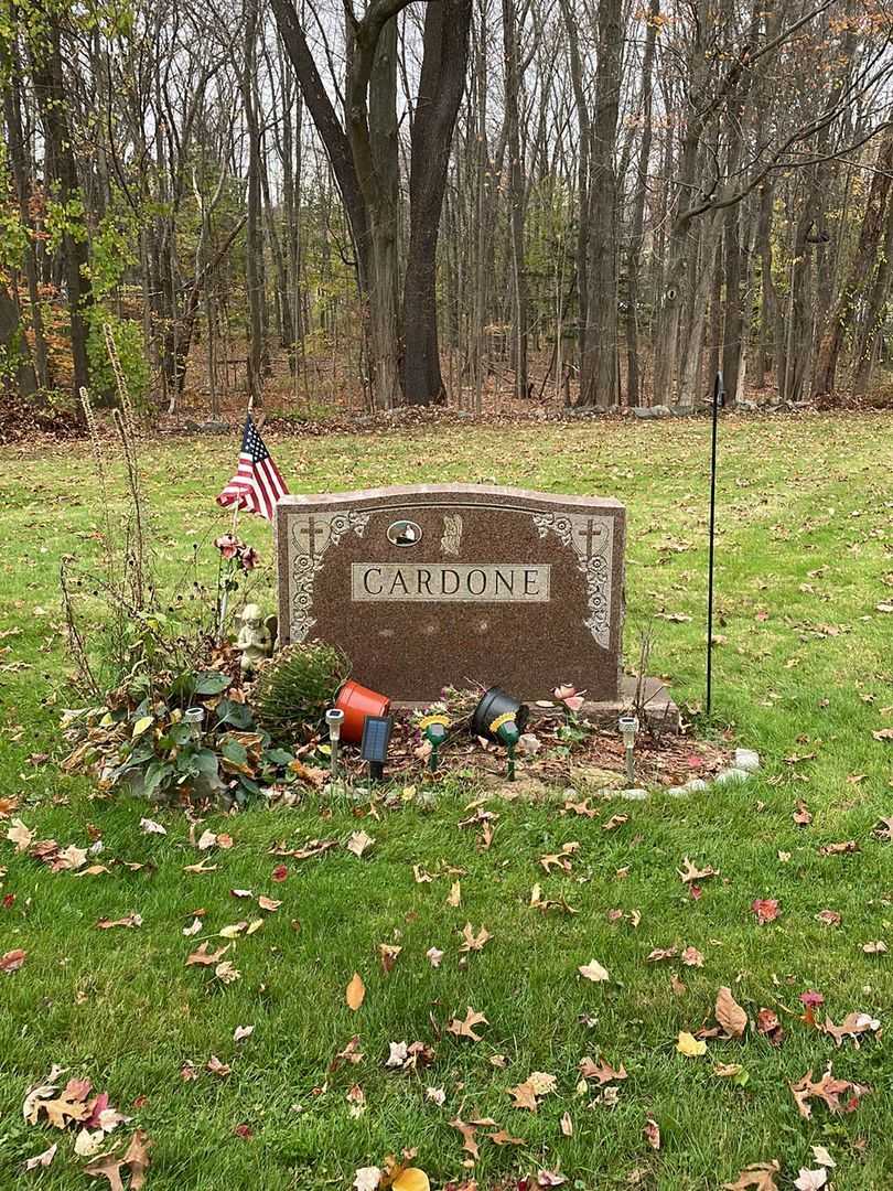 Daniel Cardone's grave