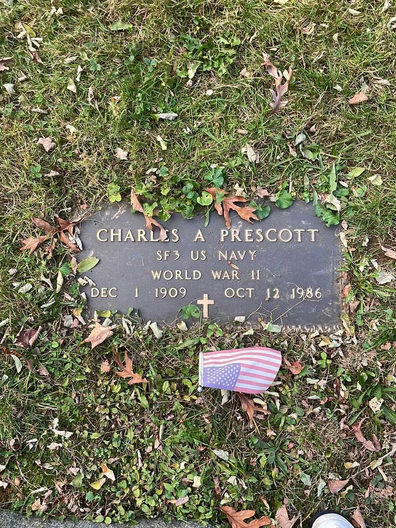 Andrew Jason's grave. Photo 3