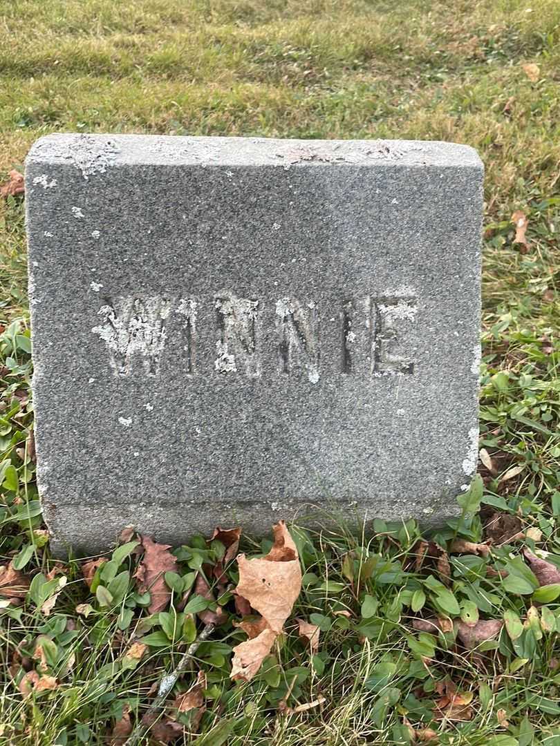 Winnie F. Wallace's grave. Photo 4