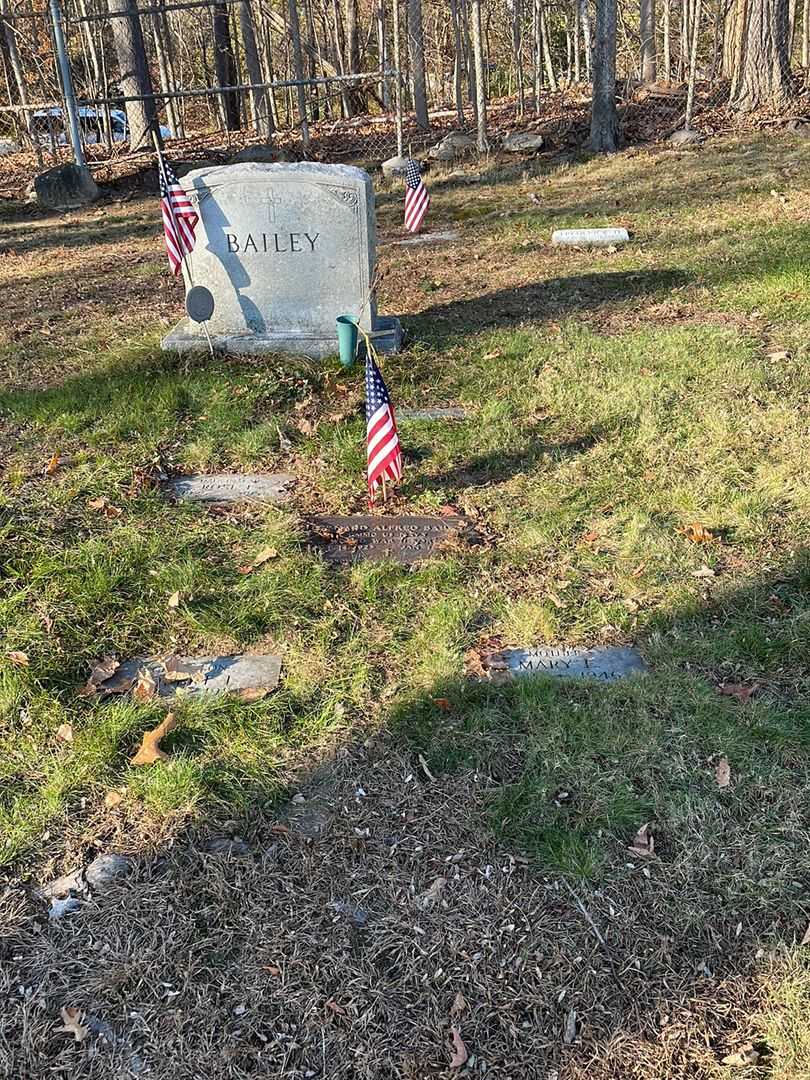 Bernard Alfred Bailey's grave. Photo 2