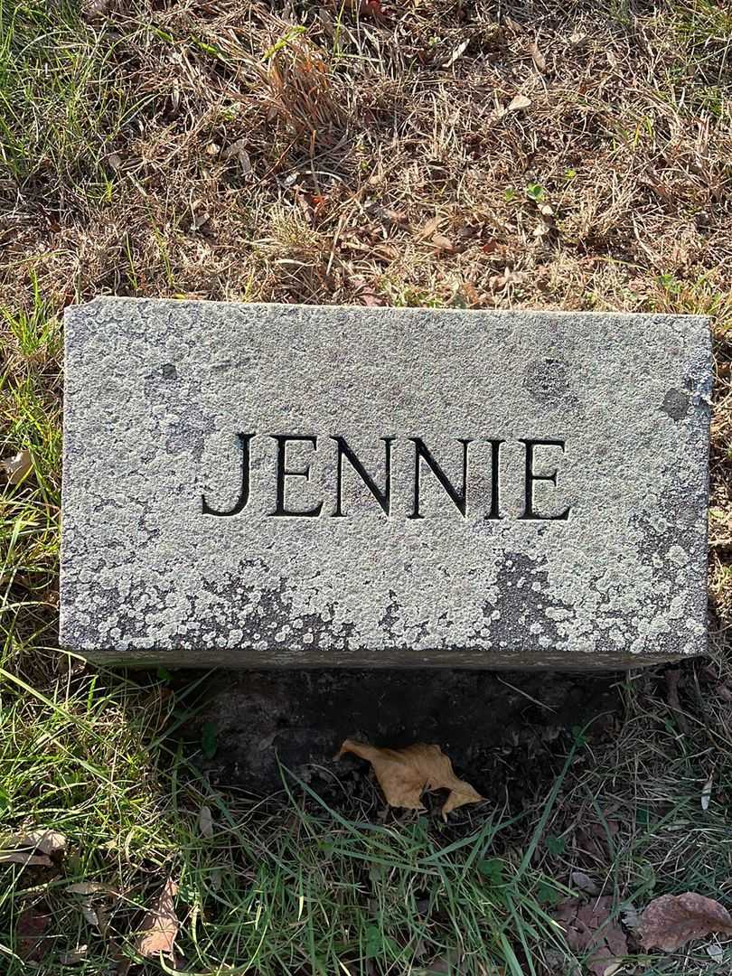 Annie Jeanette Graham Viccaro's grave. Photo 4