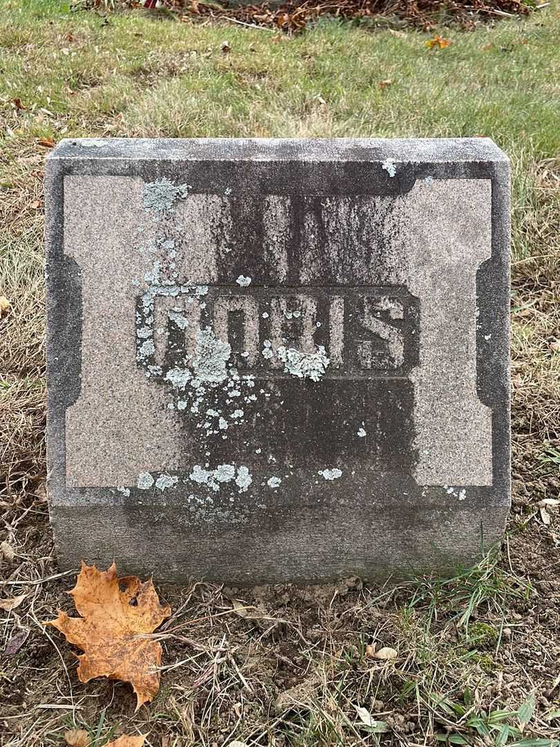Doris L. Bagley's grave. Photo 4