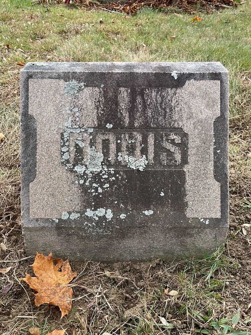 Doris L. Bagley's grave. Photo 5