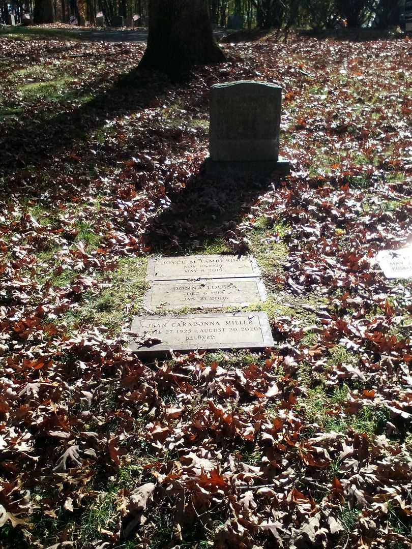 Joyce M. Tamburino's grave. Photo 2