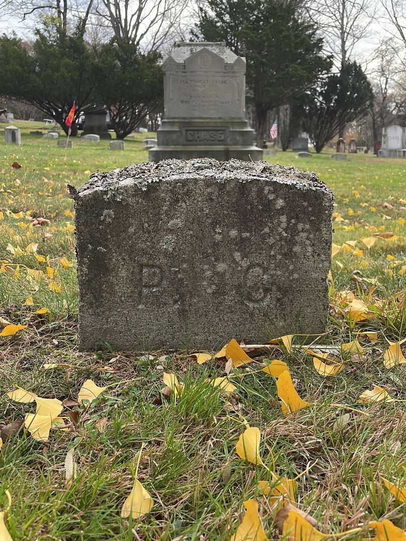 Phineas Chase's grave. Photo 4