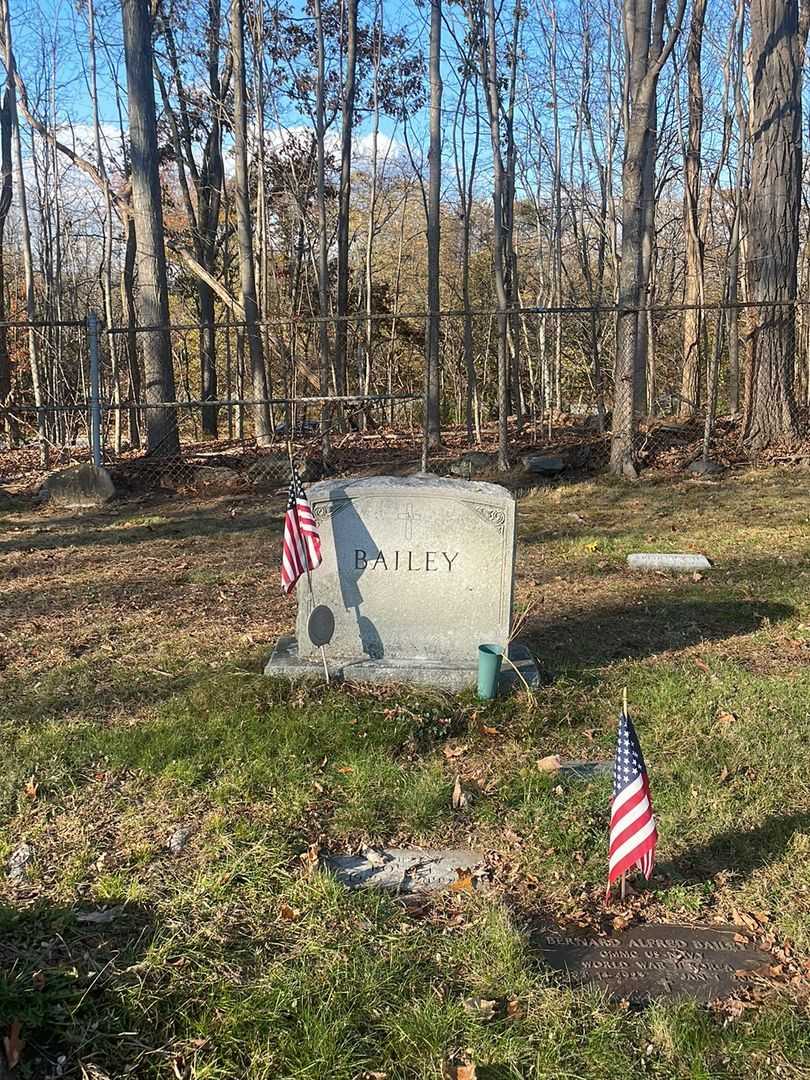 Bernard Alfred Bailey's grave. Photo 1