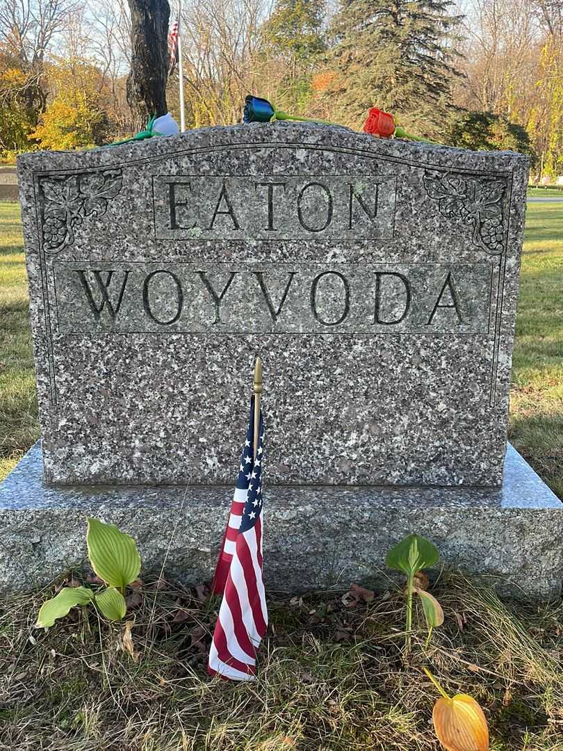 Leslie R. Eaton's grave. Photo 1