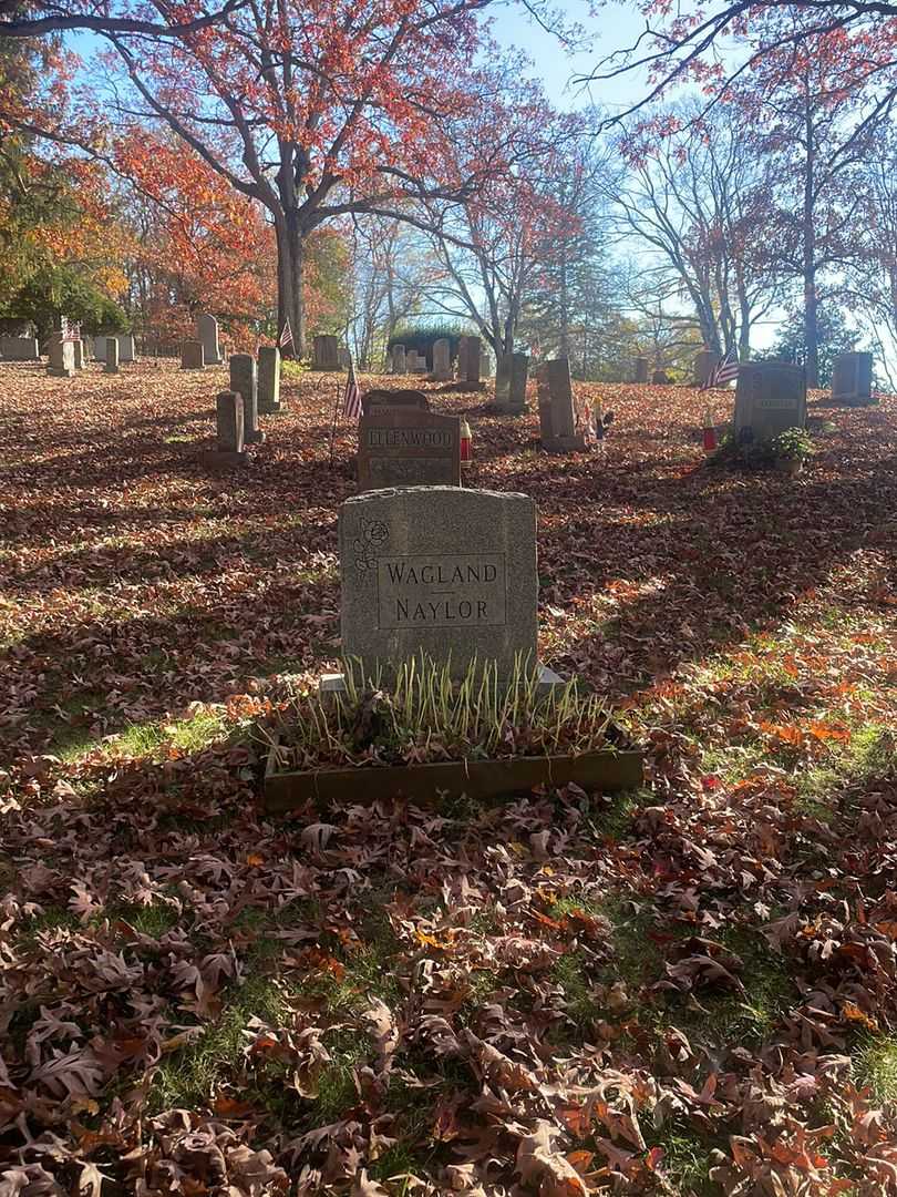 Barbara N. Wagland's grave. Photo 2