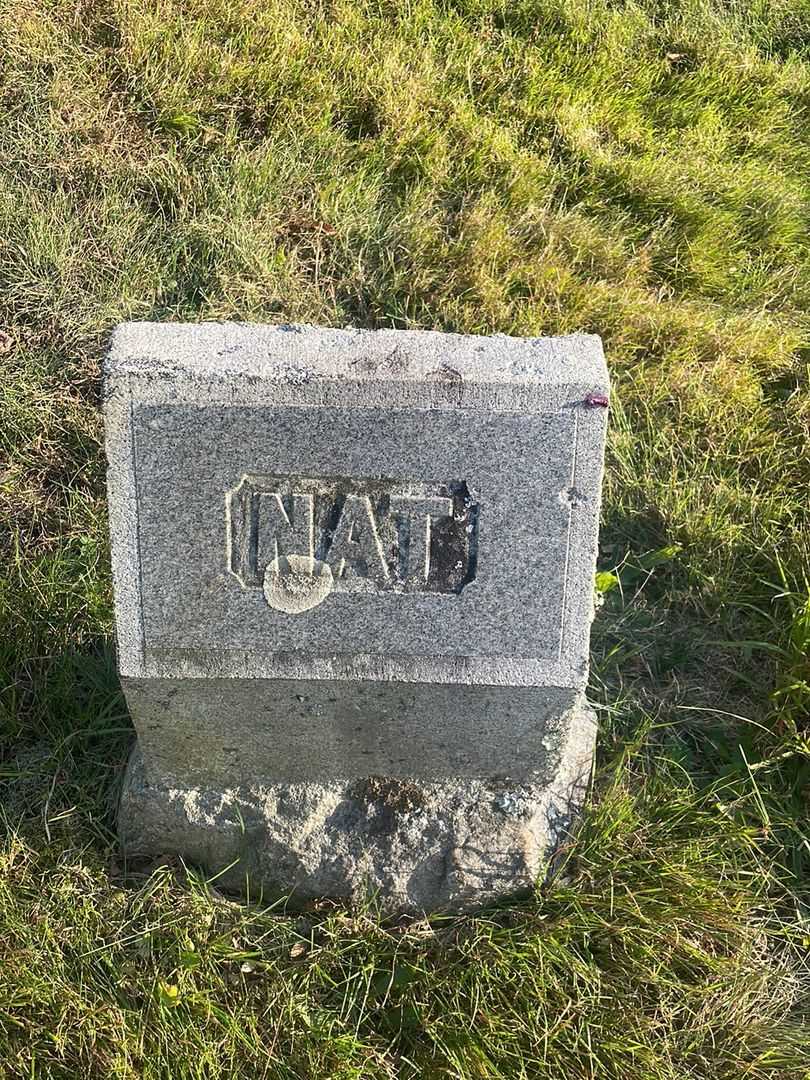 Nathaniel H. Veal Junior's grave. Photo 4