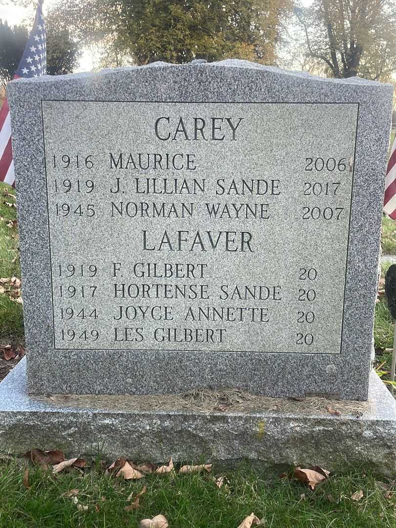 Maurice Carey's grave. Photo 4