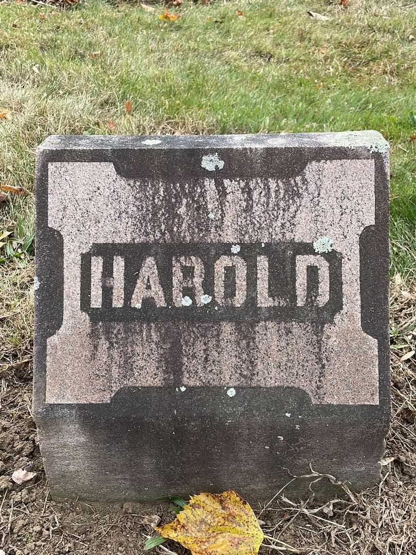 Harold W. Bagley's grave. Photo 5