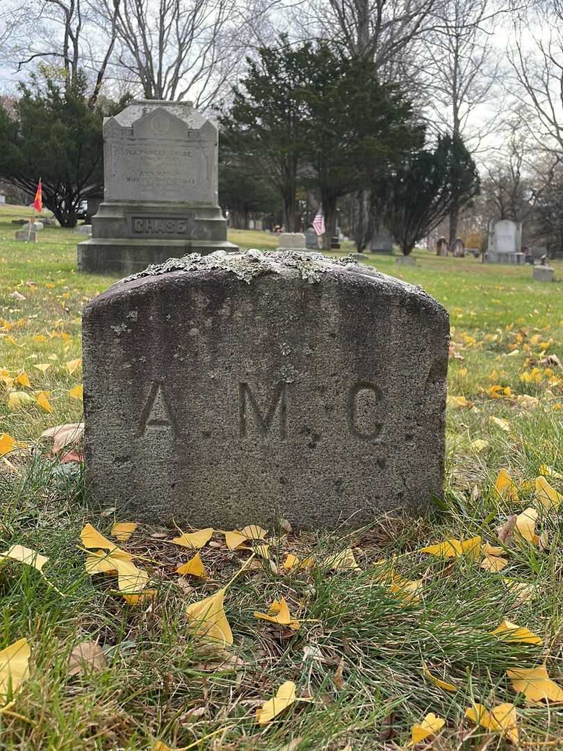 Ann Maria Chase's grave. Photo 4