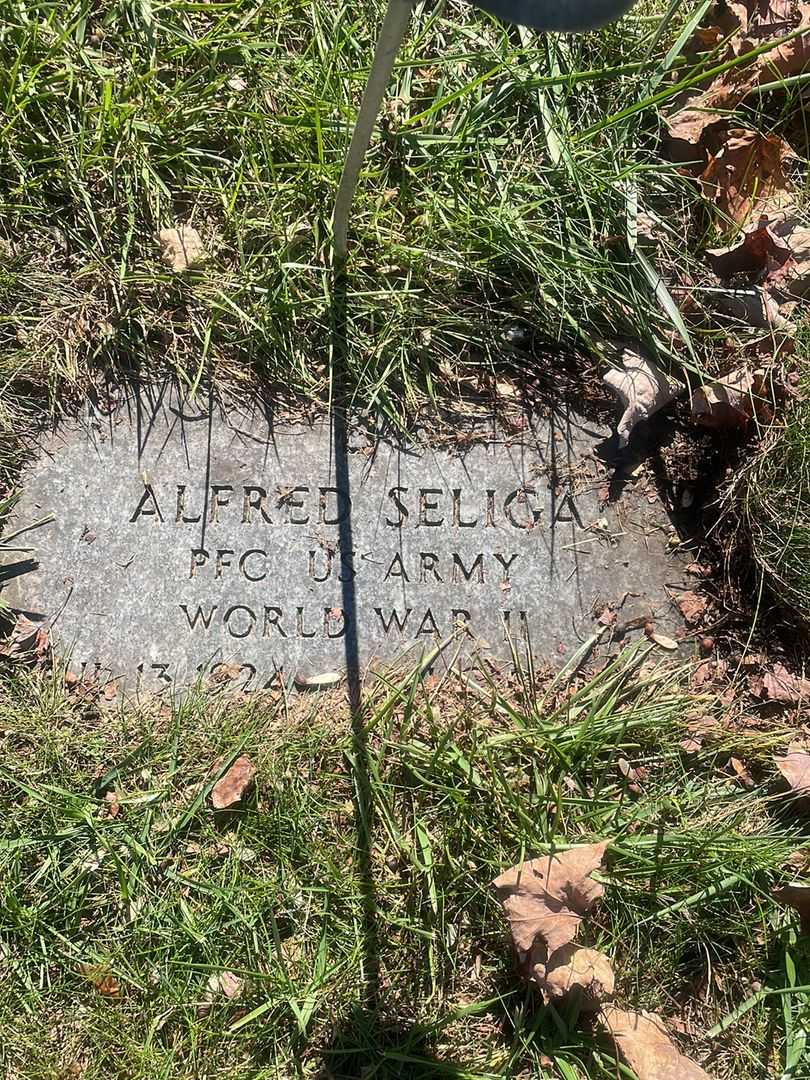 Alfred Seliga's grave. Photo 3