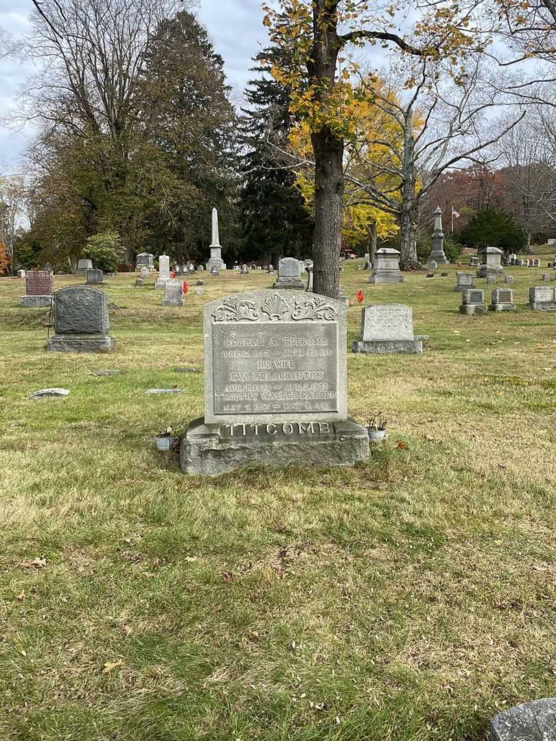 Timothy Walter Carder's grave. Photo 2