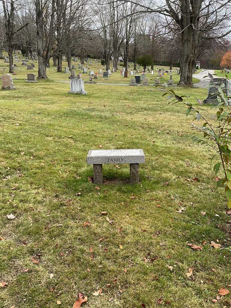 Robert W. Carnes's grave. Photo 2