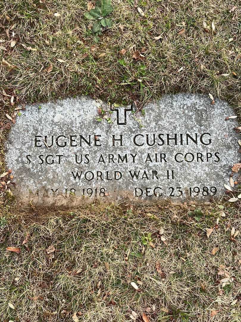 Eugene H. Cushing's grave. Photo 5