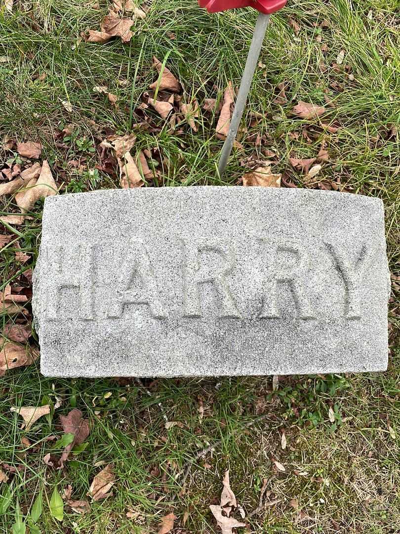 Harry W. Hale's grave. Photo 4