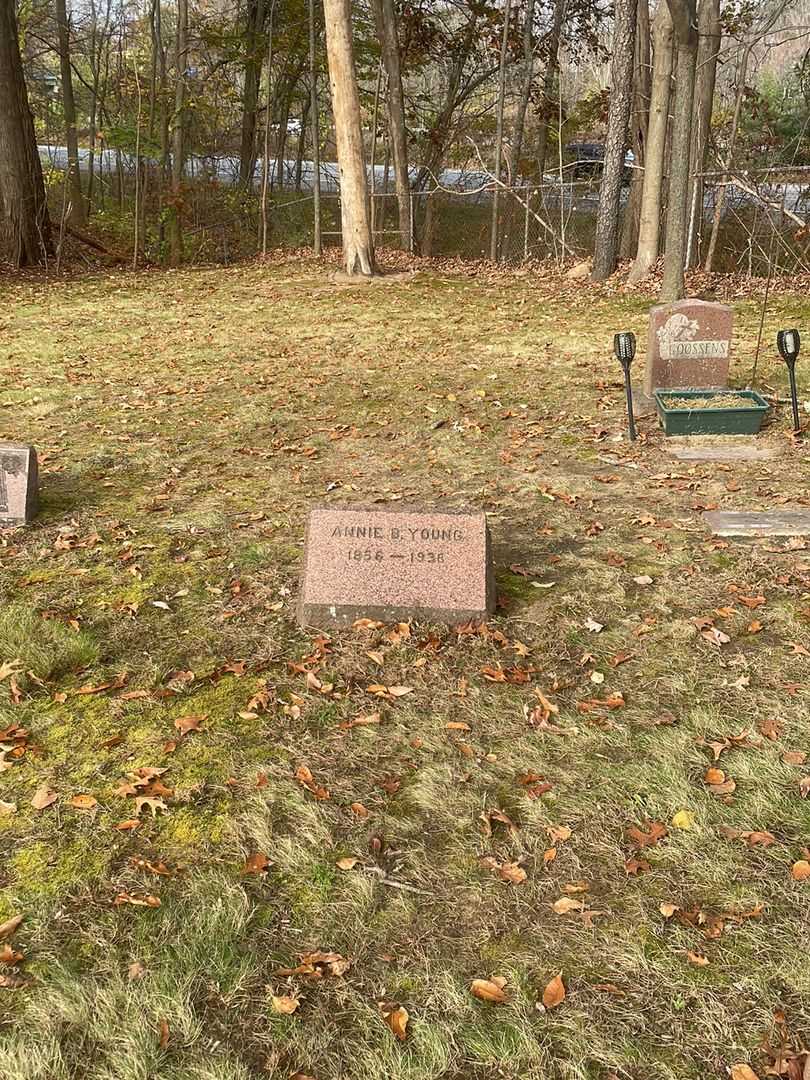 Annie B. Young's grave. Photo 2