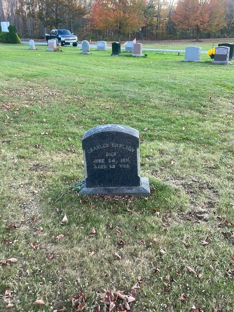 Charles Carlson's grave. Photo 2