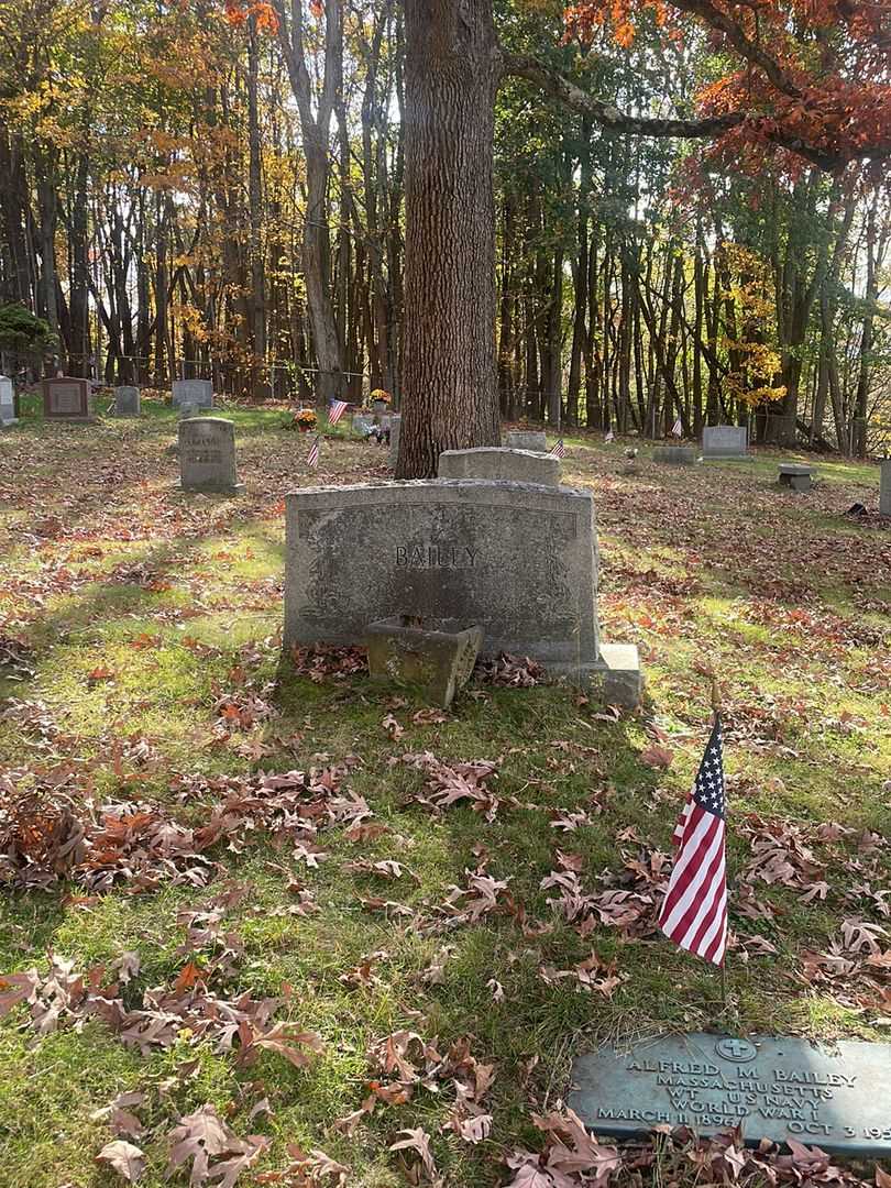 Alfred M. Bailey's grave. Photo 2