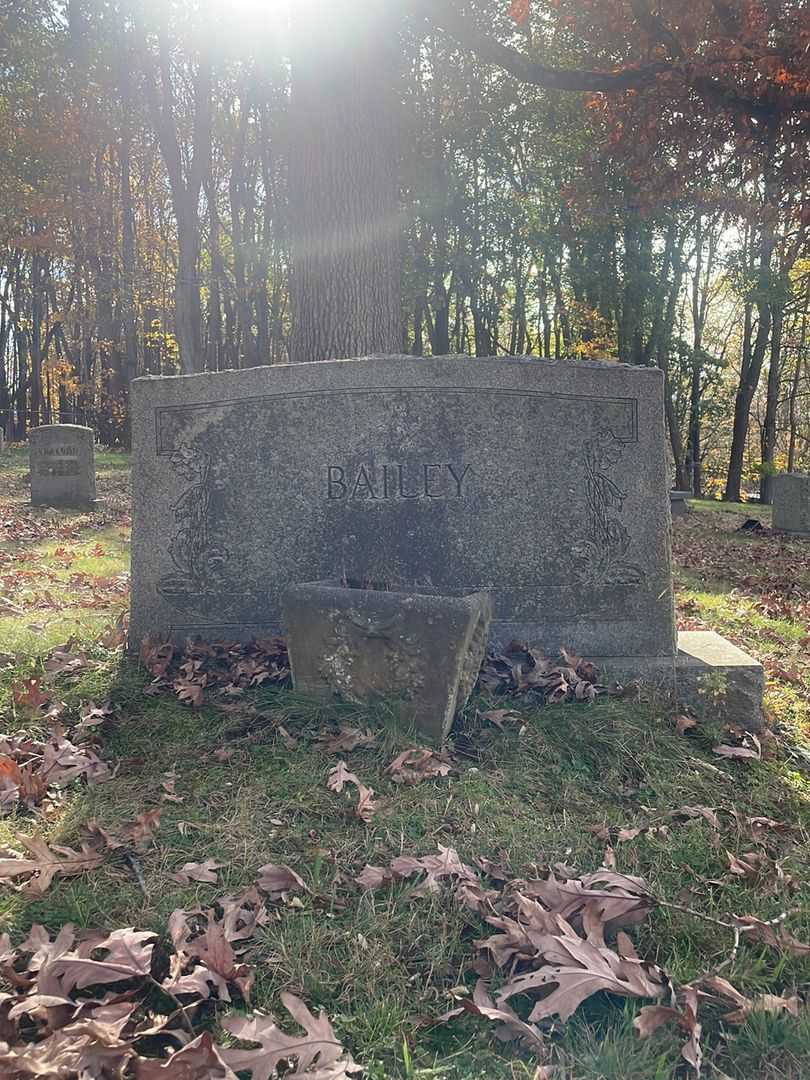 Alfred M. Bailey's grave. Photo 1