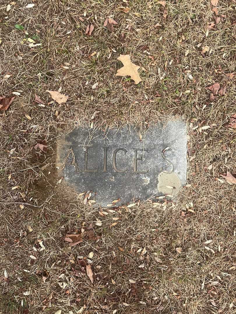 Alice Stoyle Means's grave. Photo 4