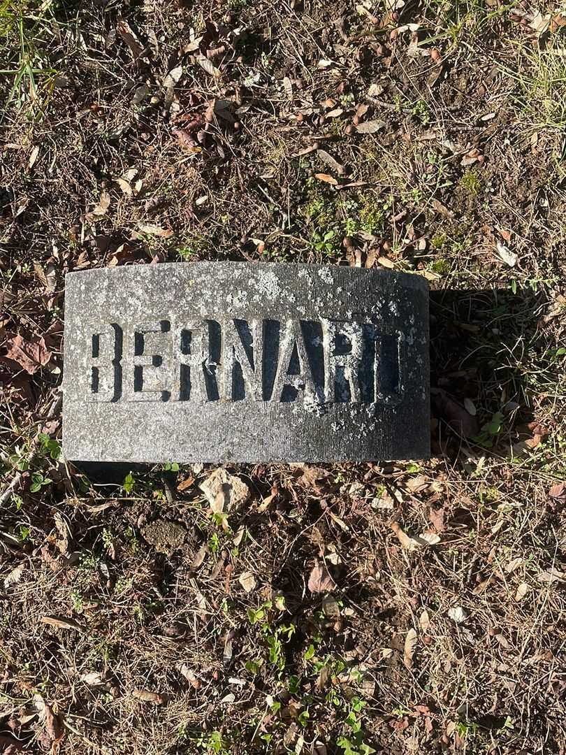 Bernard C. Goodwin's grave. Photo 5