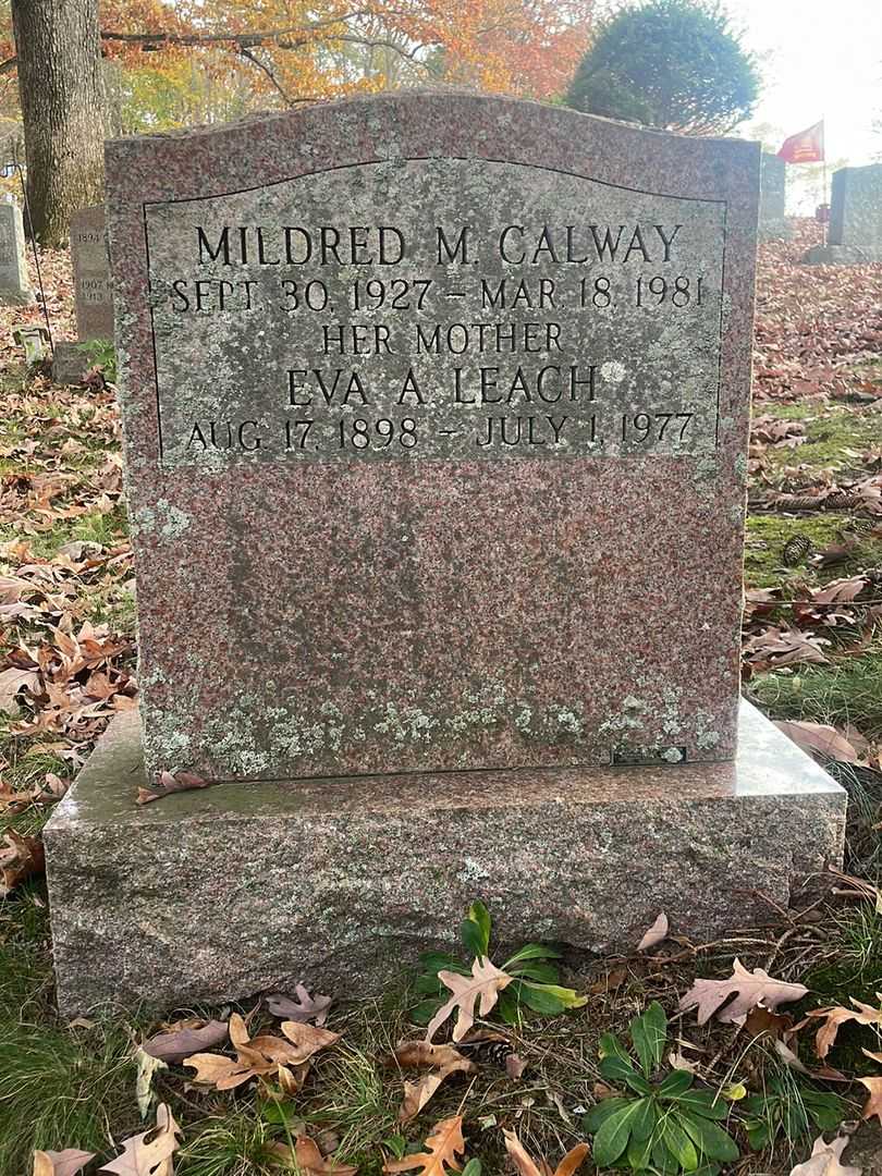 Mildred M. Calway's grave. Photo 1