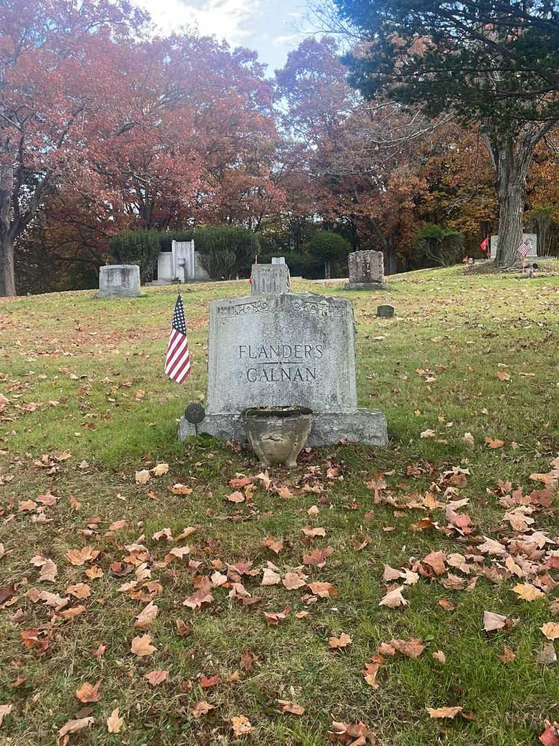 Walter D. Galnan's grave. Photo 2