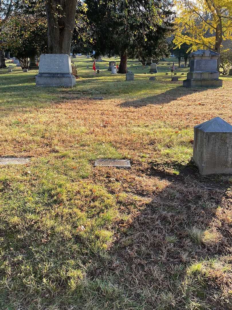 Marcia N. Staples's grave. Photo 2