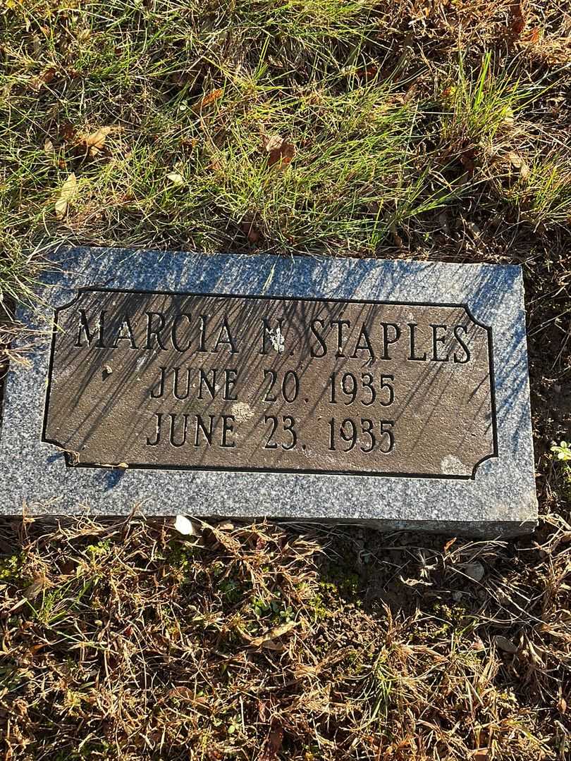 Marcia N. Staples's grave. Photo 3