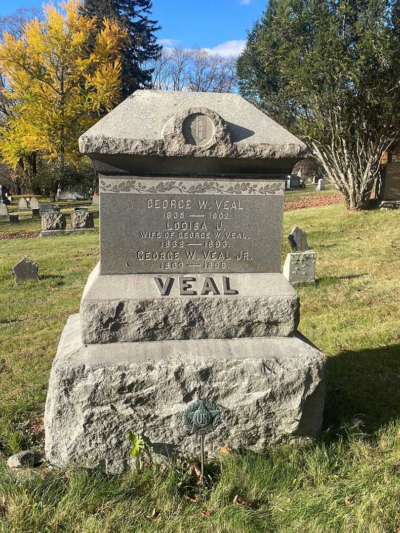 Nathaniel H. Veal's grave. Photo 2