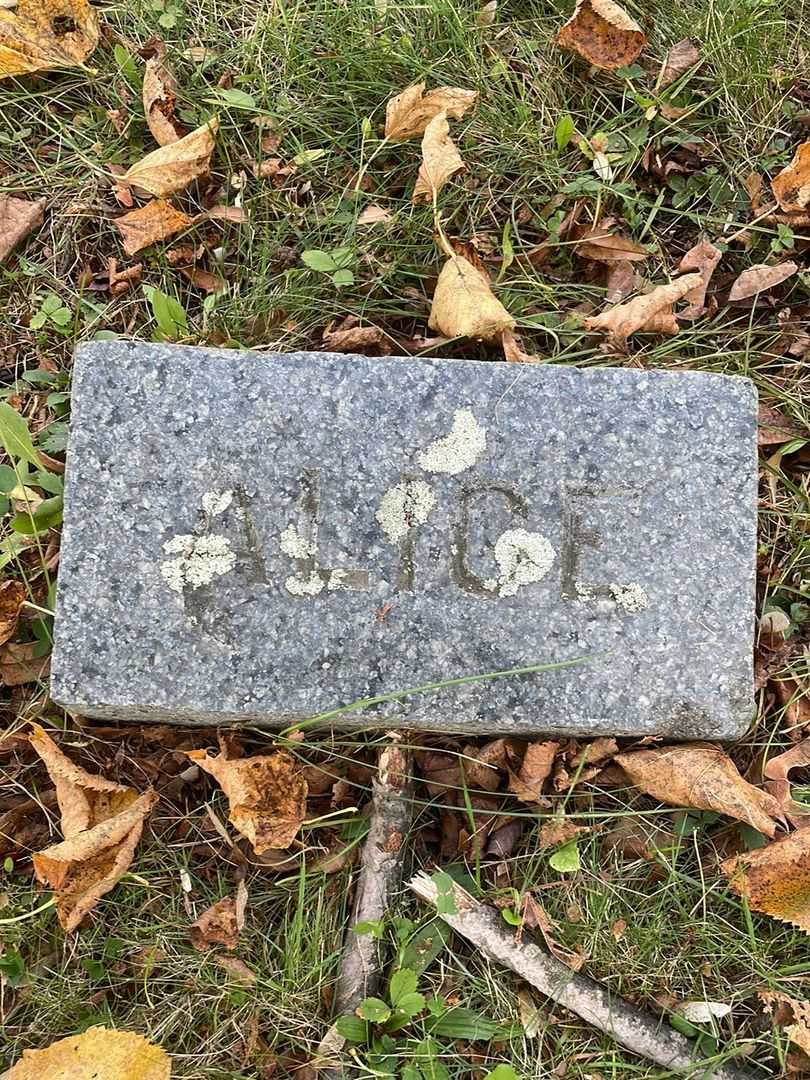 Alice Somerby Oak's grave. Photo 4