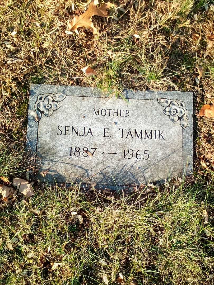 Senja Tammik's grave. Photo 3