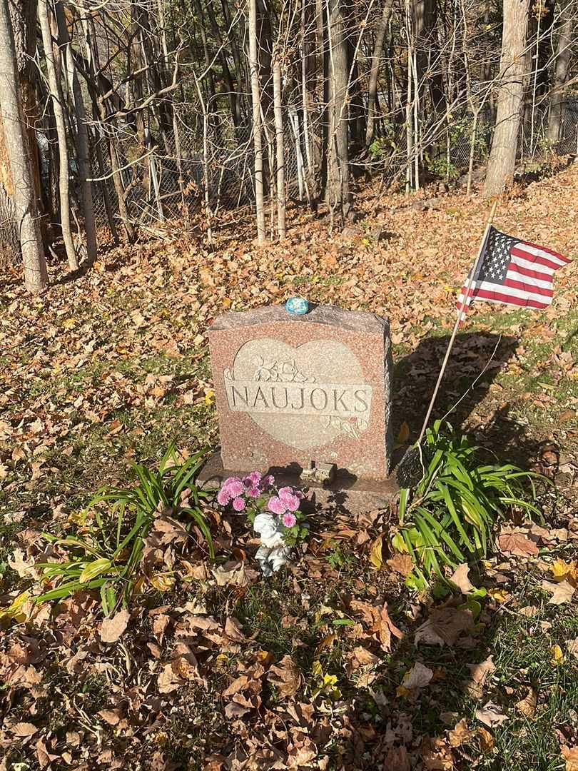 Judith T. Naujoks's grave. Photo 2