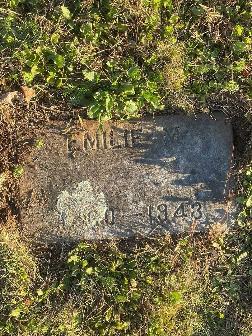 Emile M. Chamberlin's grave. Photo 4