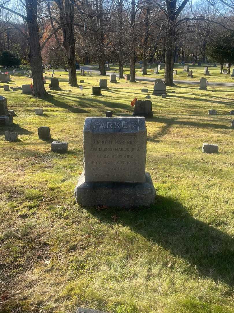 Albert Parker's grave. Photo 2