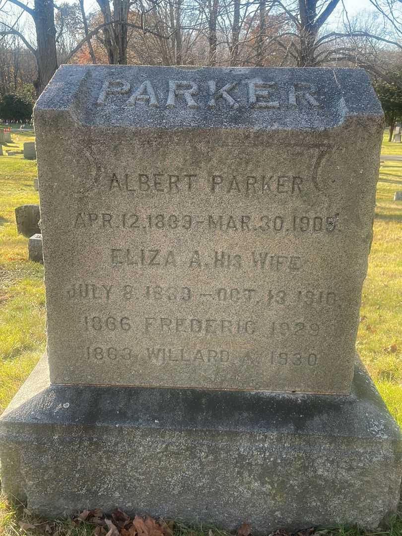 Albert Parker's grave. Photo 1