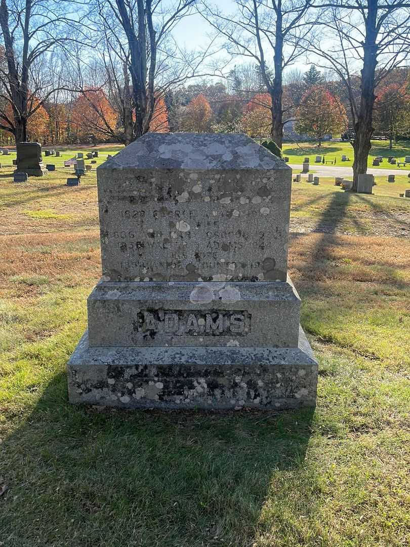 Walter O. Adams's grave. Photo 2