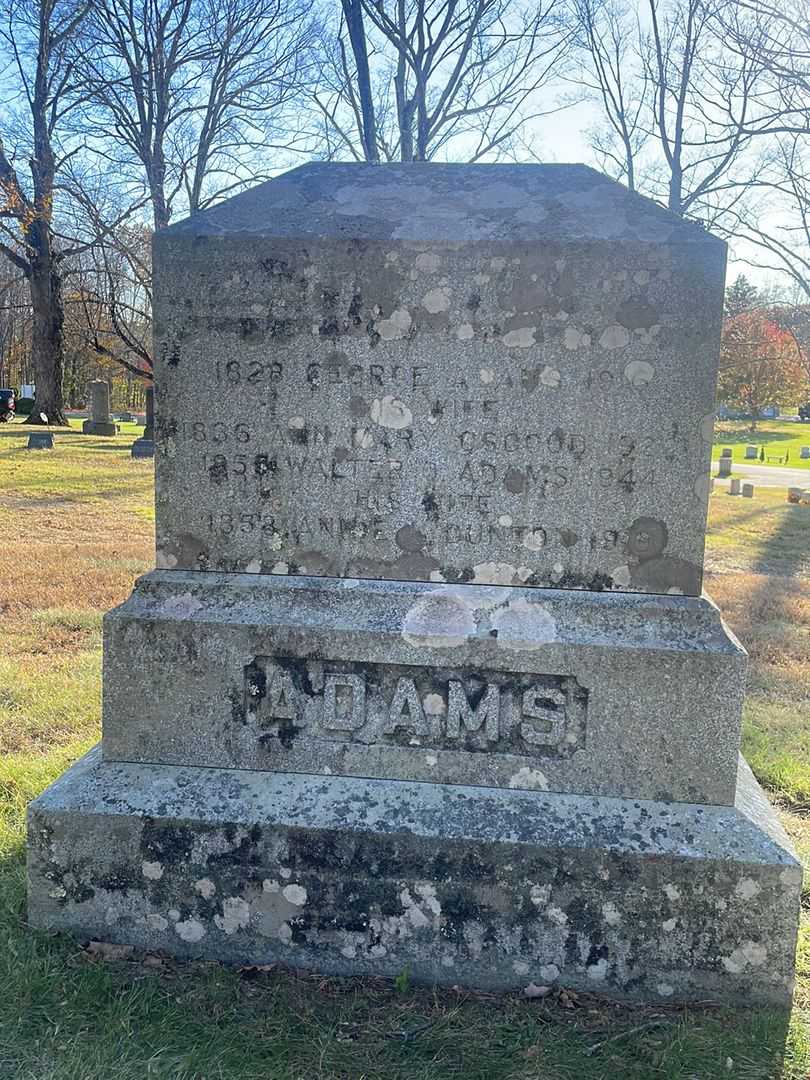 George E. Adams's grave. Photo 1