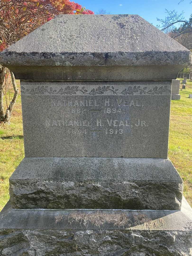 Nathaniel H. Veal's grave. Photo 3