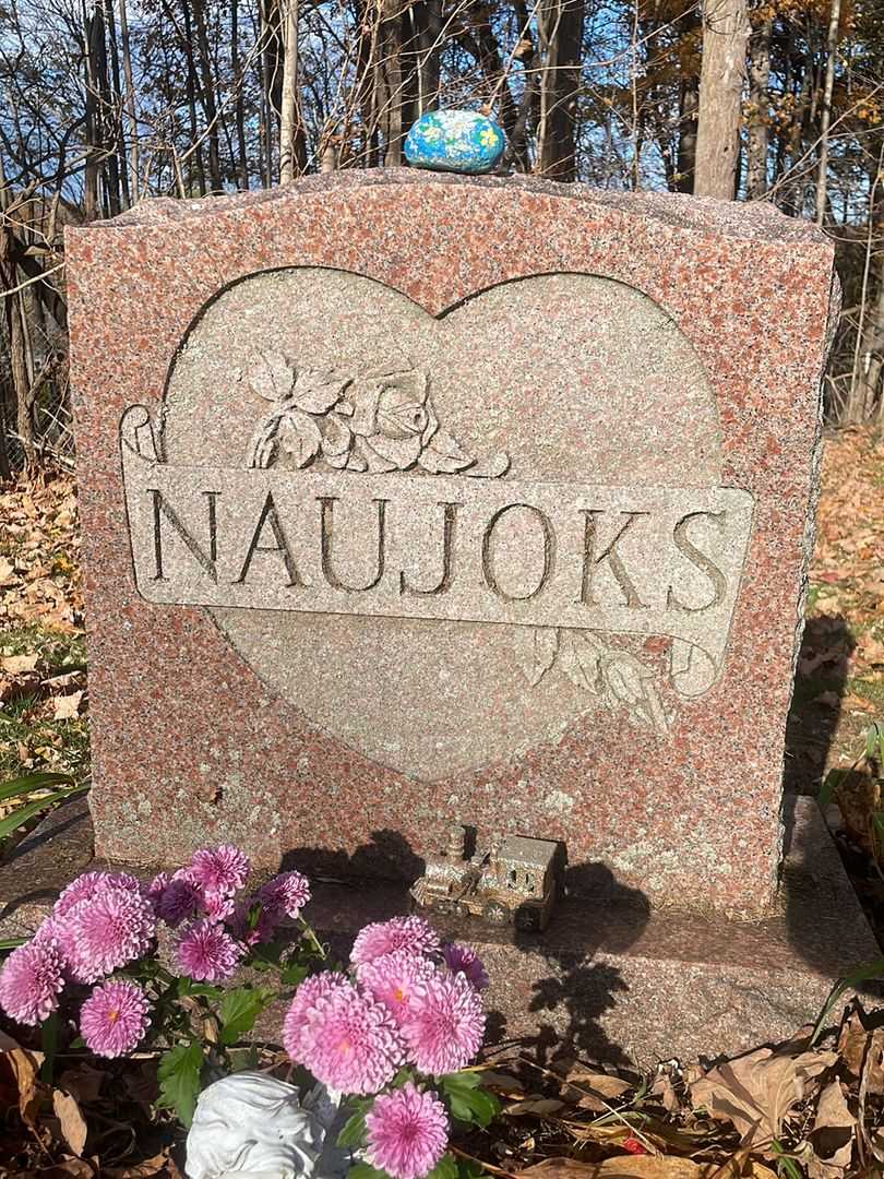 Walter H. Naujoks's grave. Photo 1