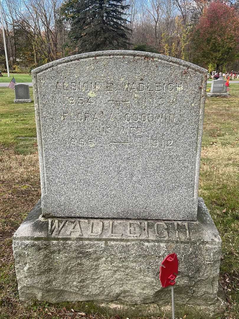 Albion E. Wadleigh's grave. Photo 1